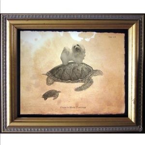 Havanese Dog on Turtle Wall Art Print Tea Stained